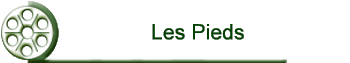 Les Pieds